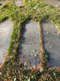 image of grave number 658940